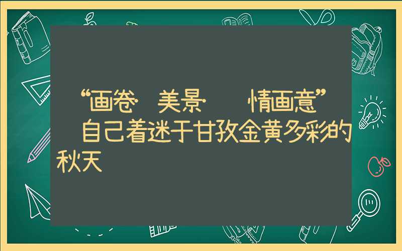 “画卷·美景·诗情画意”让自己着迷于甘孜金黄多彩的秋天