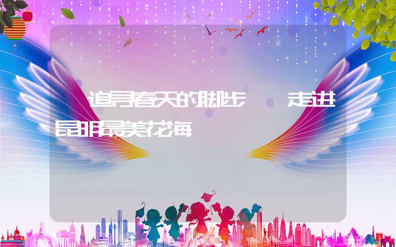 《追寻春天的脚步——走进昆明最美花海》