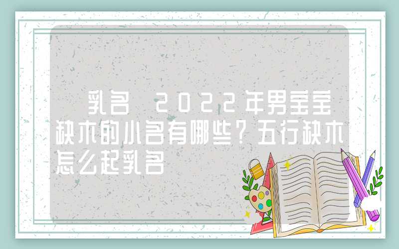 「乳名」2022年男宝宝缺木的小名有哪些？五行缺木怎么起乳名