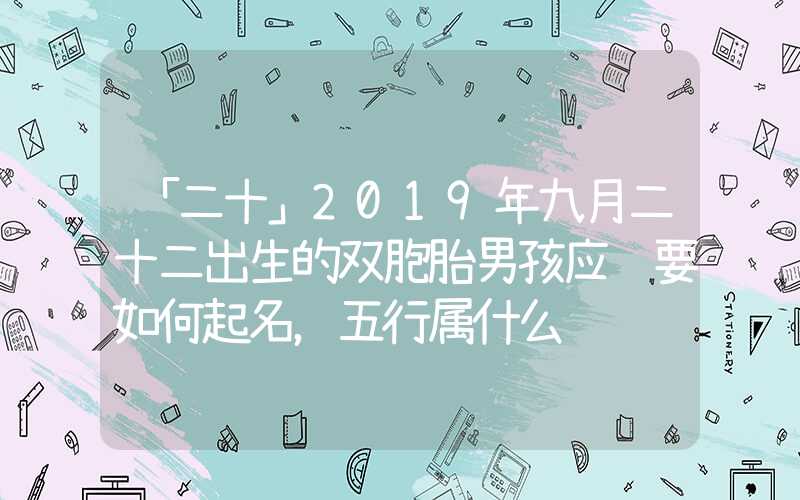 「二十」2019年九月二十二出生的双胞胎男孩应该要如何起名，五行属什么