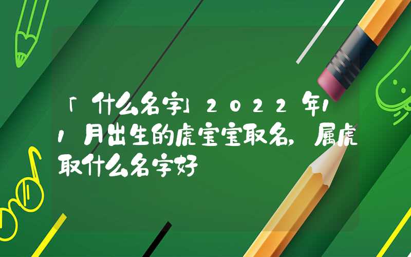 「什么名字」2022年11月出生的虎宝宝取名，属虎取什么名字好