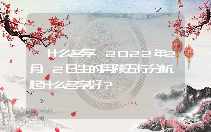 「什么名字」2022年2月12日生的男孩五行分析，起什么名字好？