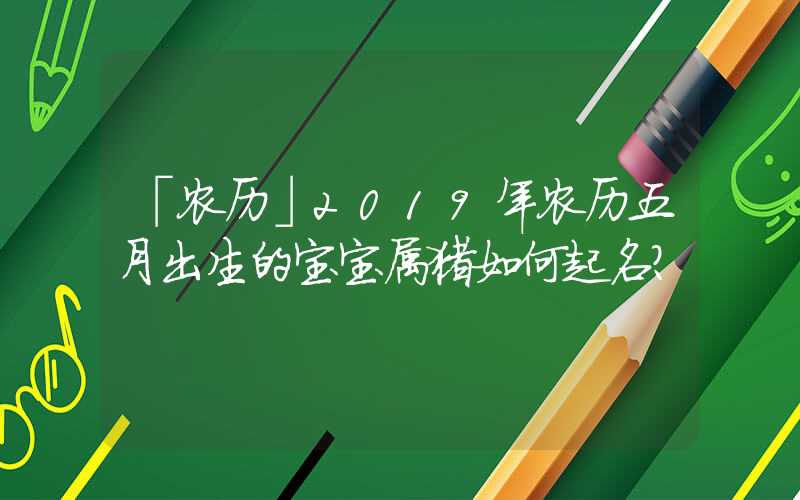 「农历」2019年农历五月出生的宝宝属猪如何起名？