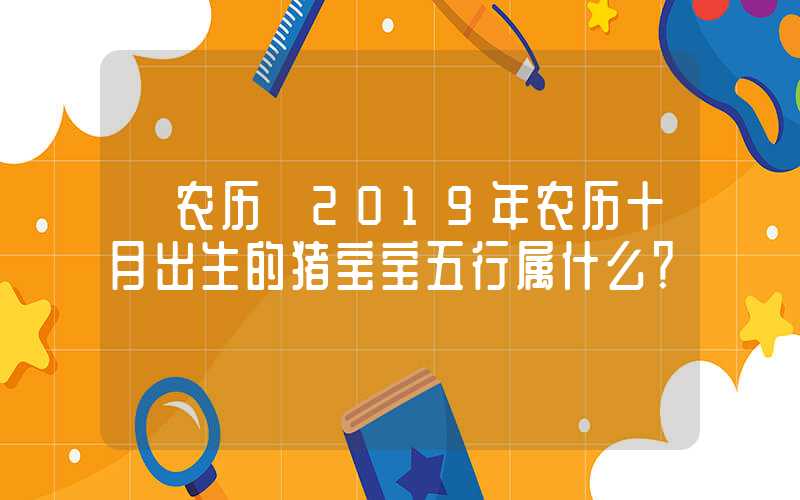 「农历」2019年农历十月出生的猪宝宝五行属什么？