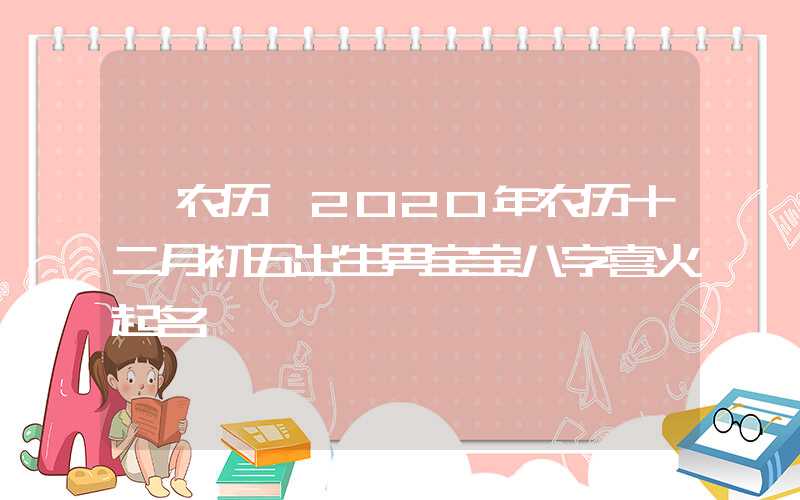 「农历」2020年农历十二月初五出生男宝宝八字喜火起名