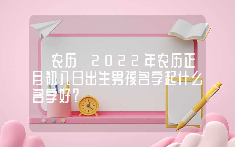 「农历」2022年农历正月初八日出生男孩名字起什么名字好？