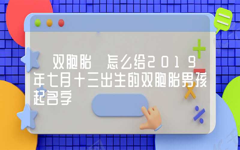 「双胞胎」怎么给2019年七月十三出生的双胞胎男孩起名字