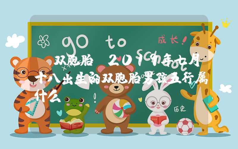 「双胞胎」2019年七月十八出生的双胞胎男孩五行属什么