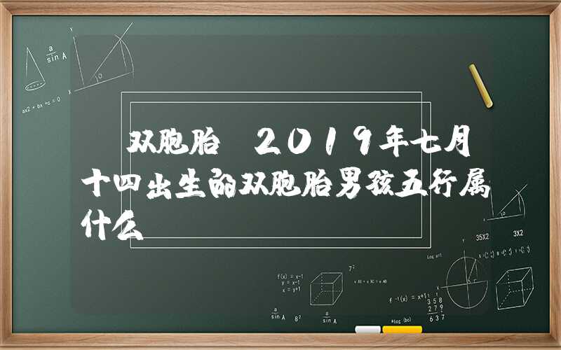 「双胞胎」2019年七月十四出生的双胞胎男孩五行属什么？
