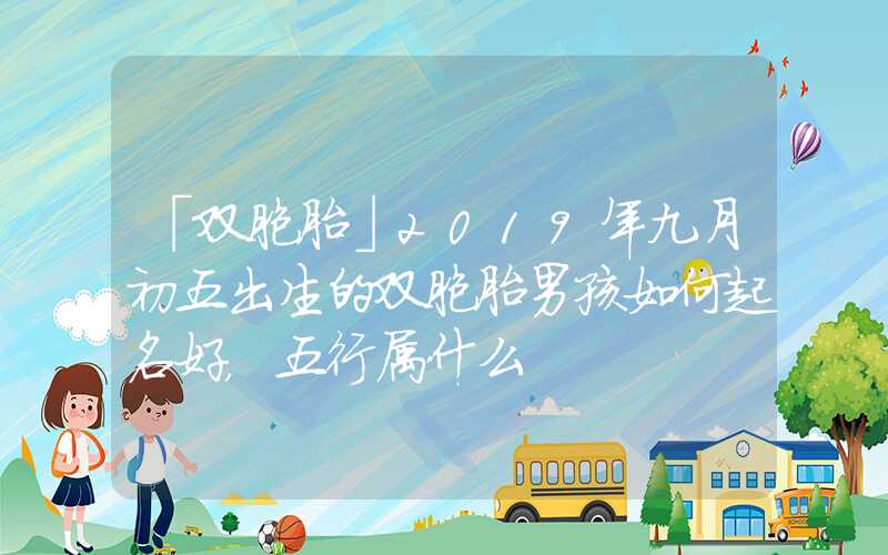 「双胞胎」2019年九月初五出生的双胞胎男孩如何起名好，五行属什么
