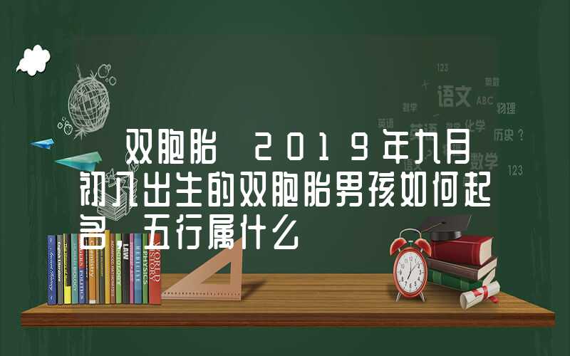 「双胞胎」2019年九月初八出生的双胞胎男孩如何起名，五行属什么