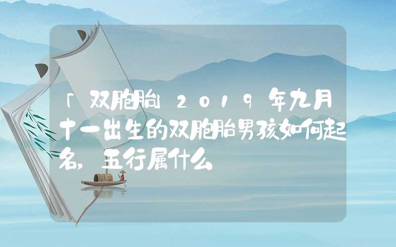 「双胞胎」2019年九月十一出生的双胞胎男孩如何起名，五行属什么