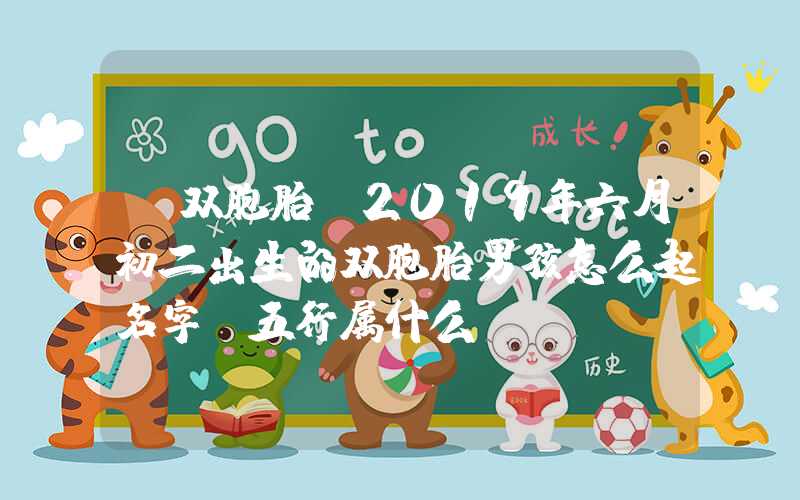「双胞胎」2019年六月初二出生的双胞胎男孩怎么起名字,五行属什么？