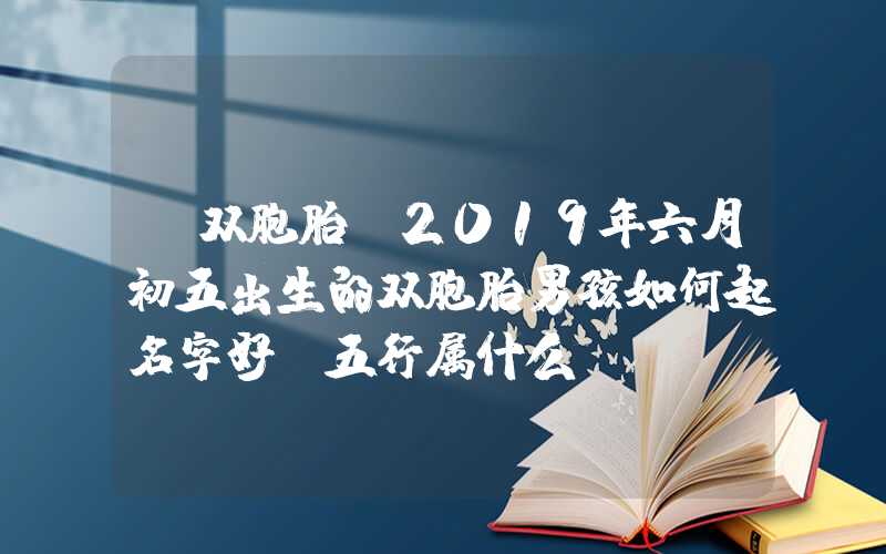 「双胞胎」2019年六月初五出生的双胞胎男孩如何起名字好,五行属什么？