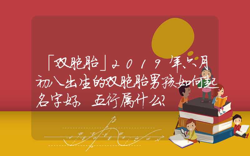 「双胞胎」2019年六月初八出生的双胞胎男孩如何起名字好,五行属什么？