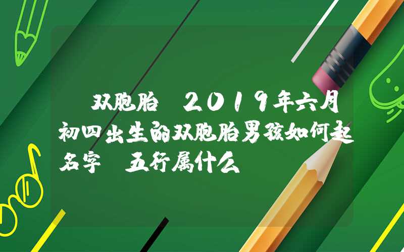 「双胞胎」2019年六月初四出生的双胞胎男孩如何起名字,五行属什么？