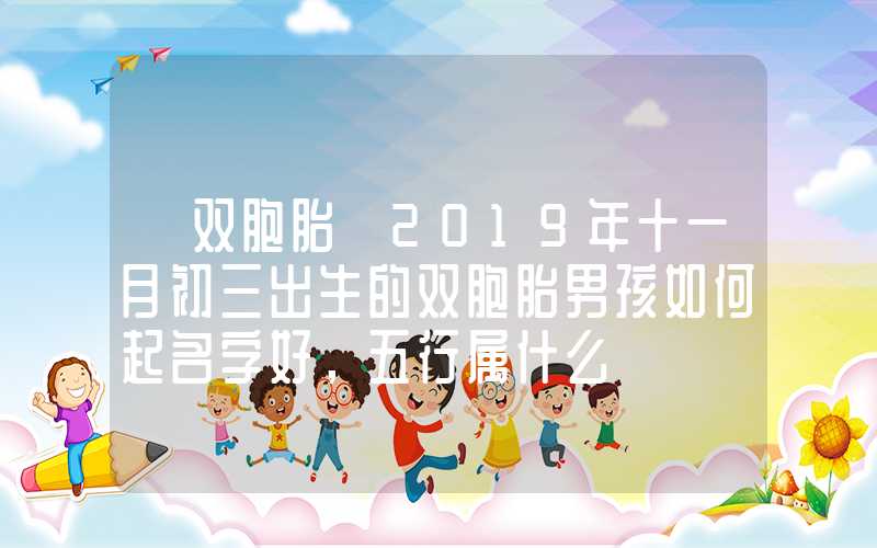 「双胞胎」2019年十一月初三出生的双胞胎男孩如何起名字好，五行属什么