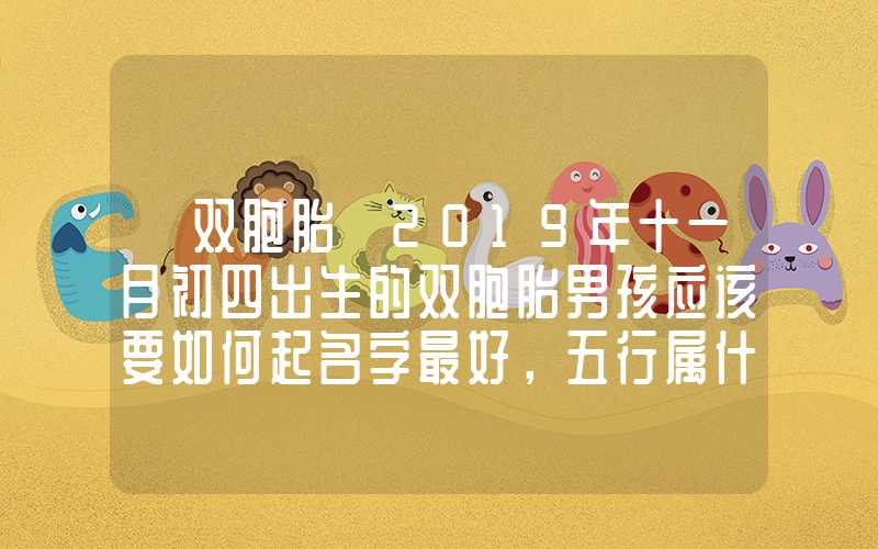 「双胞胎」2019年十一月初四出生的双胞胎男孩应该要如何起名字最好，五行属什么