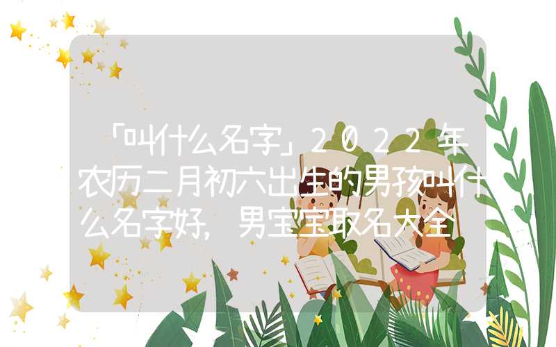 「叫什么名字」2022年农历二月初六出生的男孩叫什么名字好，男宝宝取名大全