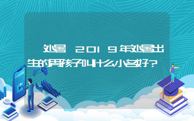 「处暑」2019年处暑出生的男孩子叫什么小名好？