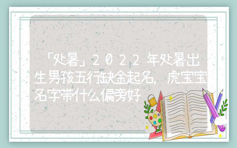 「处暑」2022年处暑出生男孩五行缺金起名，虎宝宝名字带什么偏旁好