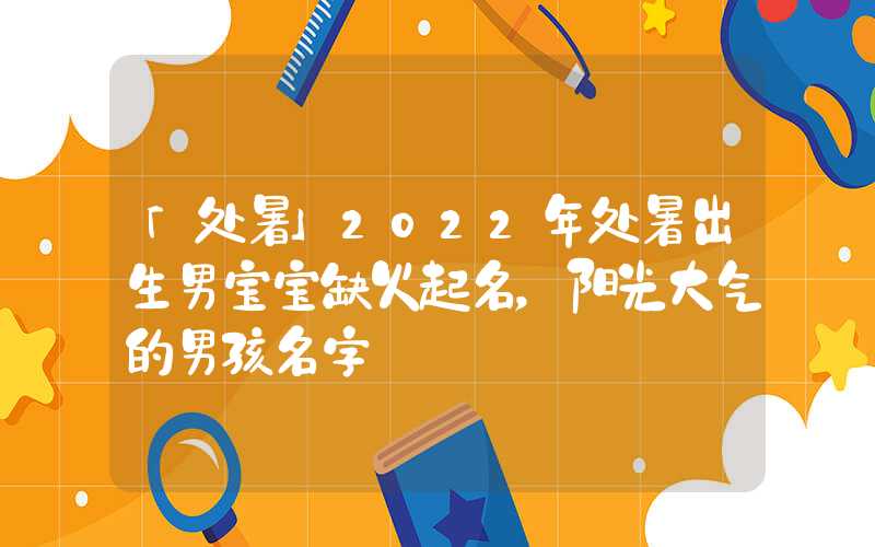 「处暑」2022年处暑出生男宝宝缺火起名，阳光大气的男孩名字