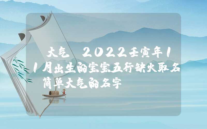 「大气」2022壬寅年11月出生的宝宝五行缺火取名，简单大气的名字