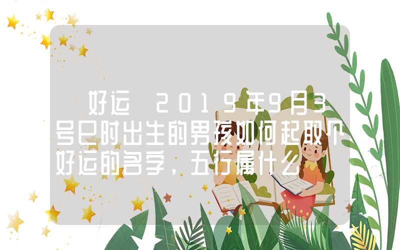 「好运」2019年9月3号巳时出生的男孩如何起取个好运的名字，五行属什么