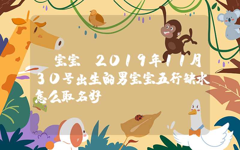 「宝宝」2019年11月30号出生的男宝宝五行缺水怎么取名好
