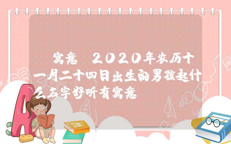 「寓意」2020年农历十一月二十四日出生的男孩起什么名字好听有寓意？