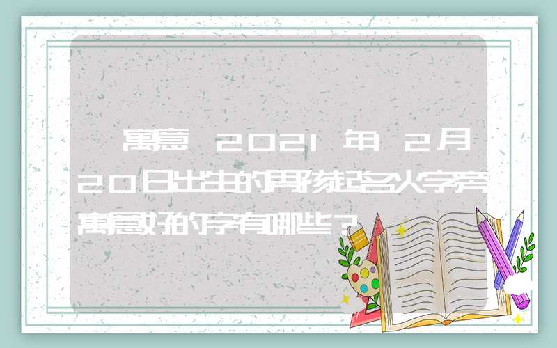 「寓意」2021年12月20日出生的男孩起名火字旁寓意好的字有哪些？