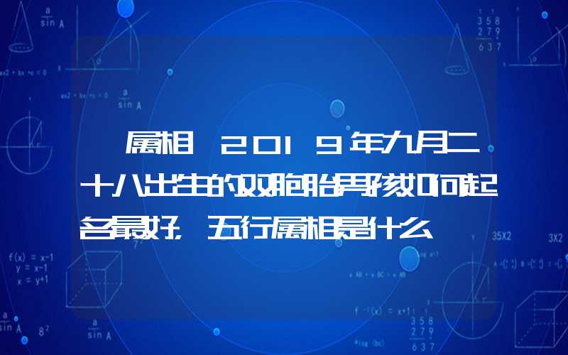 「属相」2019年九月二十八出生的双胞胎男孩如何起名最好，五行属相是什么