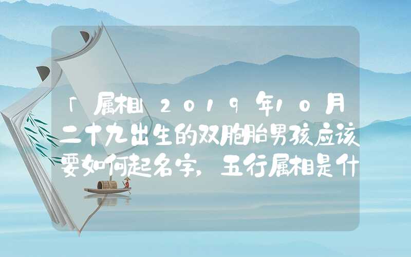 「属相」2019年10月二十九出生的双胞胎男孩应该要如何起名字，五行属相是什么？