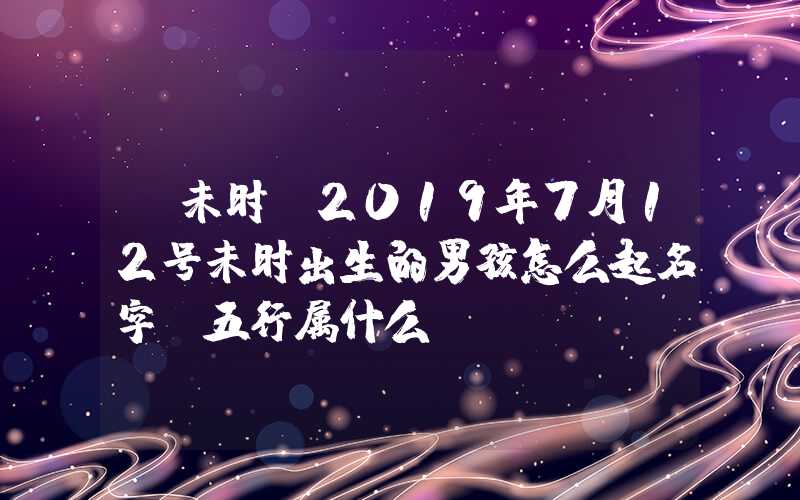 「未时」2019年7月12号未时出生的男孩怎么起名字，五行属什么