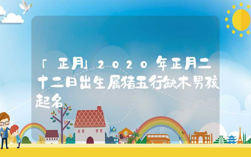 「正月」2020年正月二十二日出生属猪五行缺木男孩起名