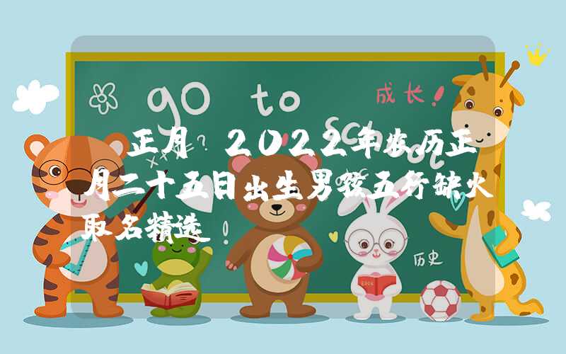 「正月」2022年农历正月二十五日出生男孩五行缺火取名精选