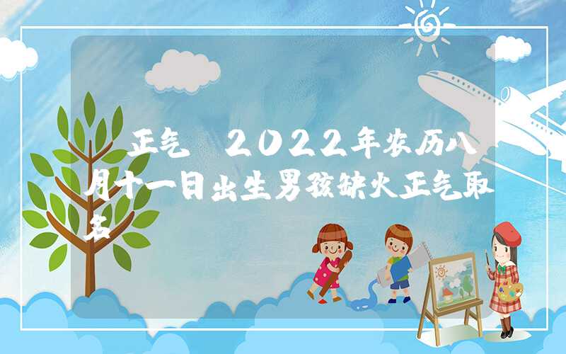 「正气」2022年农历八月十一日出生男孩缺火正气取名