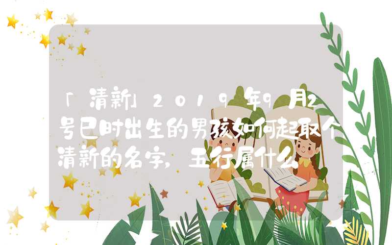 「清新」2019年9月2号巳时出生的男孩如何起取个清新的名字，五行属什么