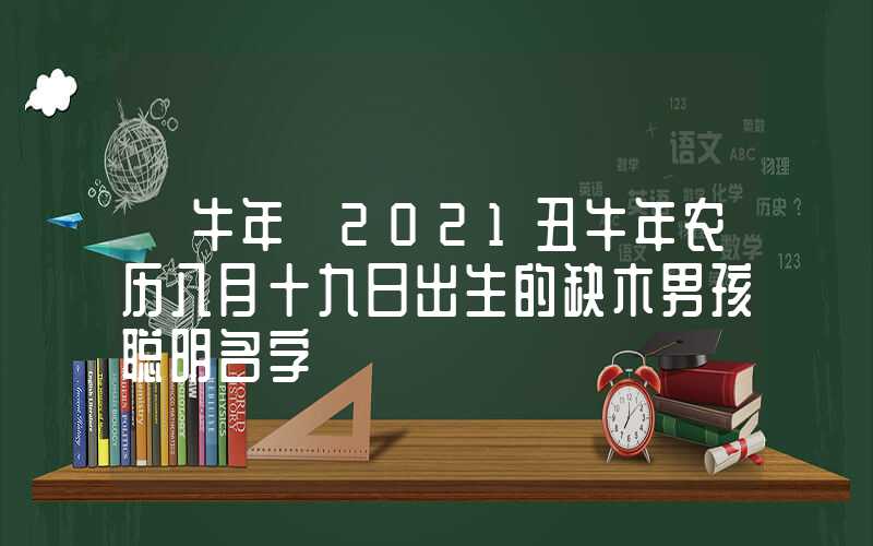 「牛年」2021丑牛年农历八月十九日出生的缺木男孩聪明名字