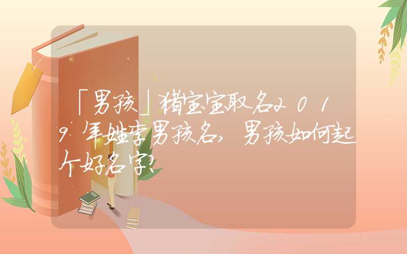 「男孩」猪宝宝取名2019年姓李男孩名,男孩如何起个好名字？