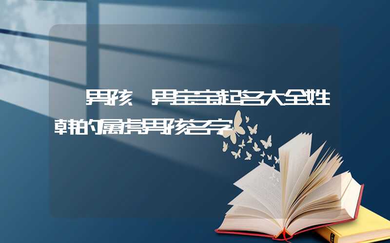 「男孩」男宝宝起名大全姓韩的属虎男孩名字