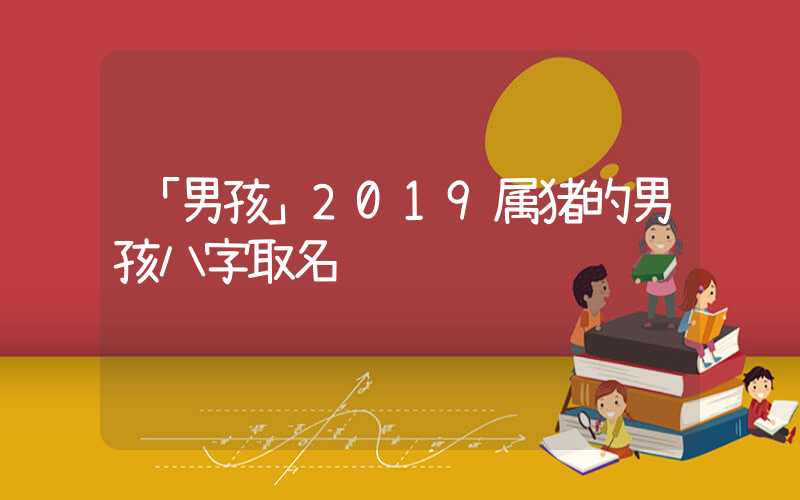 「男孩」2019属猪的男孩八字取名