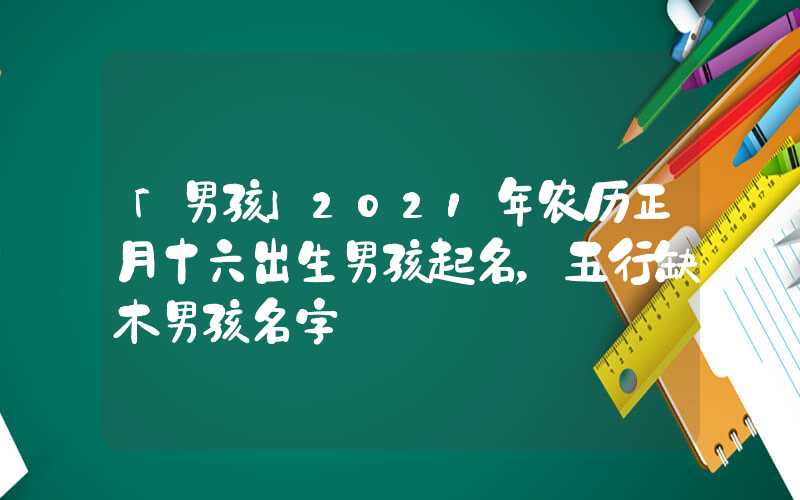 「男孩」2021年农历正月十六出生男孩起名，五行缺木男孩名字