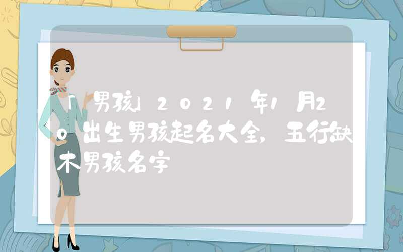 「男孩」2021年1月20出生男孩起名大全，五行缺木男孩名字