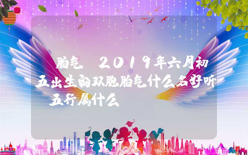 「胎气」2019年六月初五出生的双胞胎气什么名好听，五行属什么