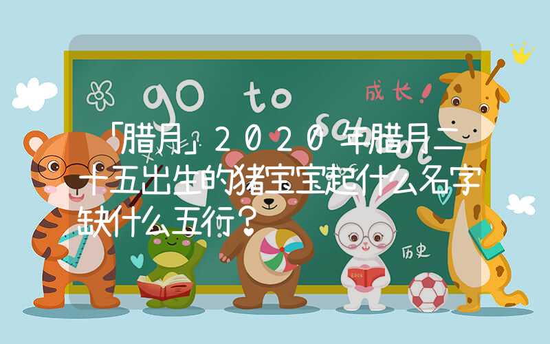 「腊月」2020年腊月二十五出生的猪宝宝起什么名字缺什么五行？