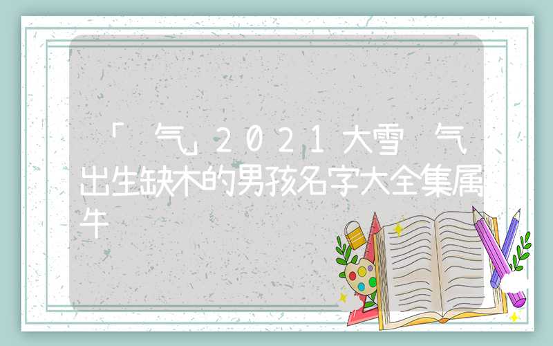 「节气」2021大雪节气出生缺木的男孩名字大全集属牛