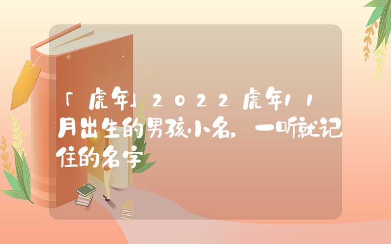 「虎年」2022虎年11月出生的男孩小名，一听就记住的名字