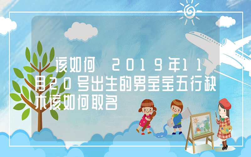 「该如何」2019年11月20号出生的男宝宝五行缺木该如何取名