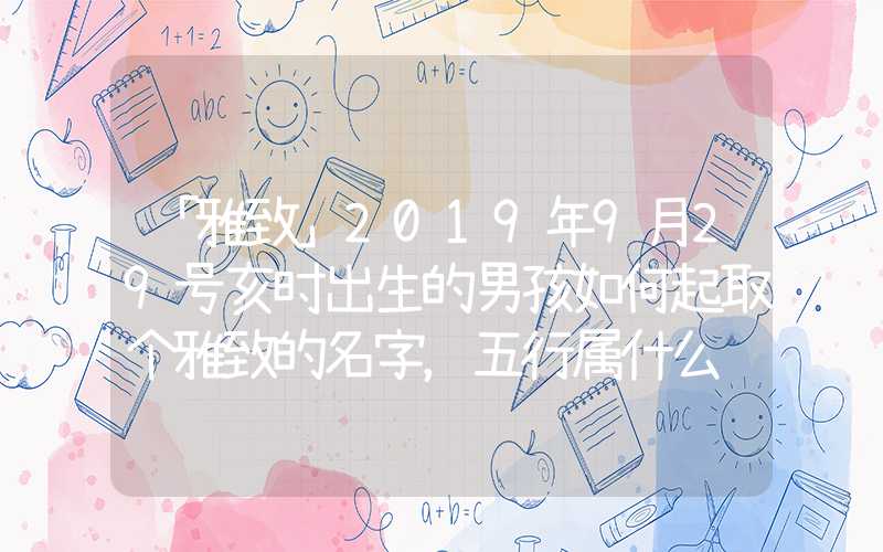「雅致」2019年9月29号亥时出生的男孩如何起取个雅致的名字，五行属什么